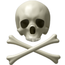 Skull and Bones Icon